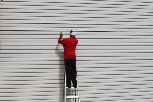 Best Insulated Siding Installation  in Long Beach, MD