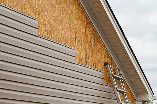 Best Steel Siding Installation  in Long Beach, MD